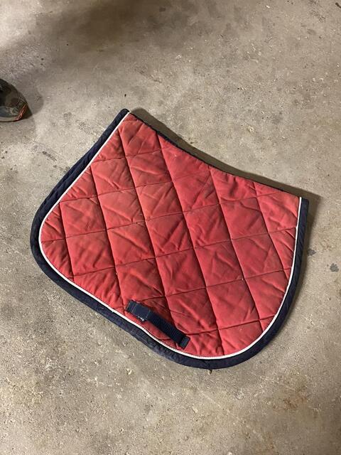 Tapis + licol