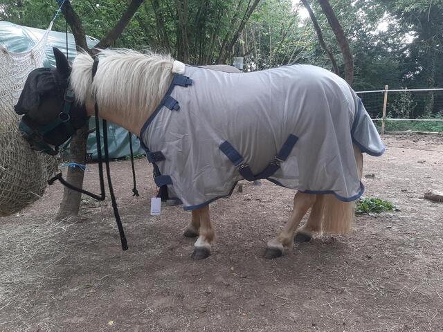 Chemise anti-mouche