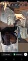Selle prestige 17 pouces