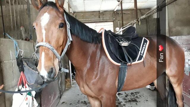 Tapis + bonnet long paddoc sport noir et orange