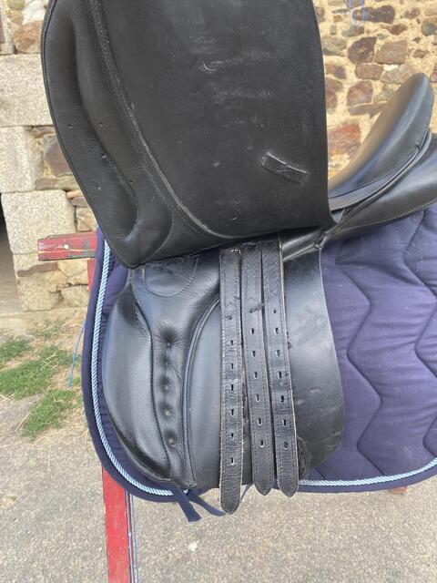 Selle Chancellor