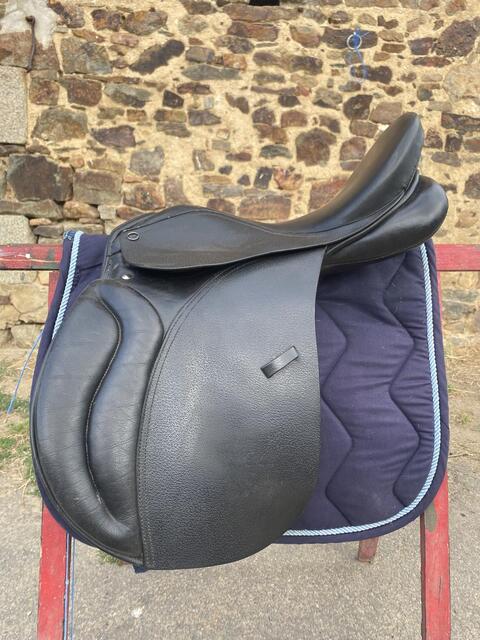 Selle Chancellor