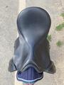 Selle Chancellor