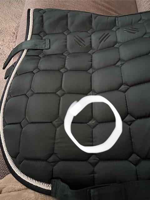Tapis de selle Félix Buhler