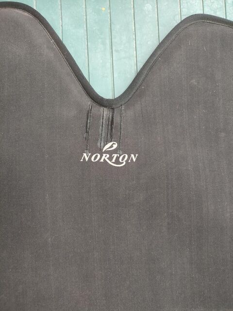Amortisseur Norton