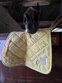 Tapis Hv polo