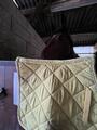Tapis Hv polo