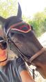Bonnet PL noir et rouge point sellier