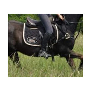 Selle mono quartier Éric Thomas