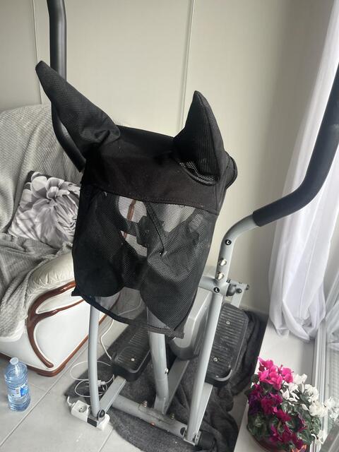 Fly mask