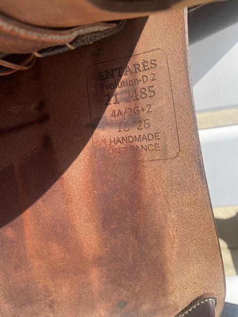Selle Antares 2021