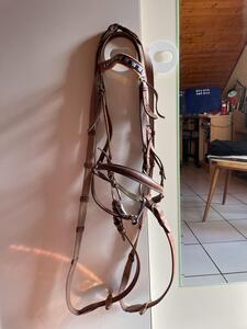 Filet cuir poney