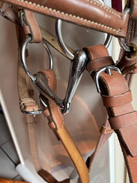 Filet cuir poney