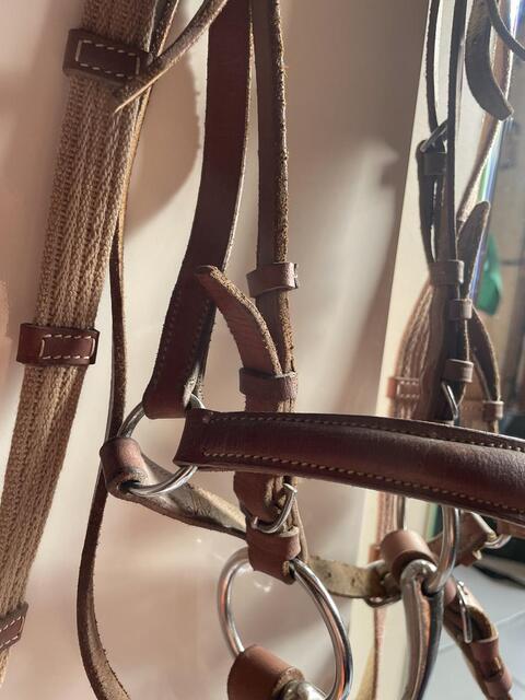 Filet cuir poney