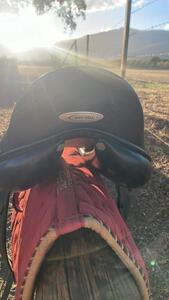 Selle dressage lamicelle