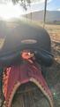 Selle dressage lamicelle