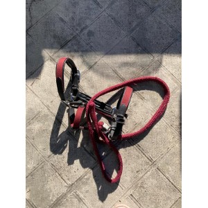 Licol en cuir Bordeaux