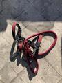 Licol en cuir Bordeaux
