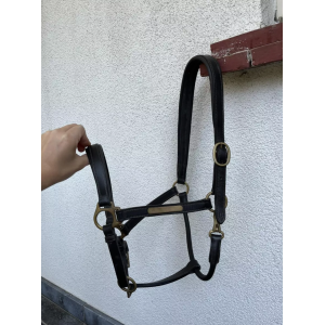 Licol en cuir brun LJ