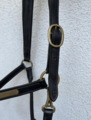 Licol en cuir brun LJ