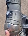 Protections Lorenzini