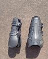 Protections Lorenzini