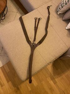 Collier de chasse CWD