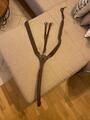 Collier de chasse CWD
