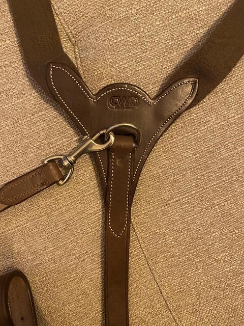 Collier de chasse CWD
