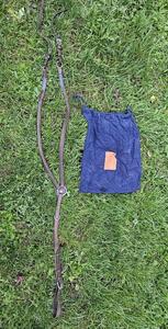 Collier de chasse Antarès