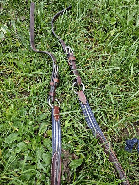 Collier de chasse Antarès