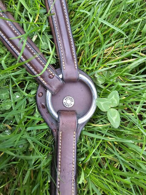 Collier de chasse Antarès