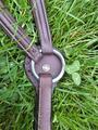 Collier de chasse Antarès
