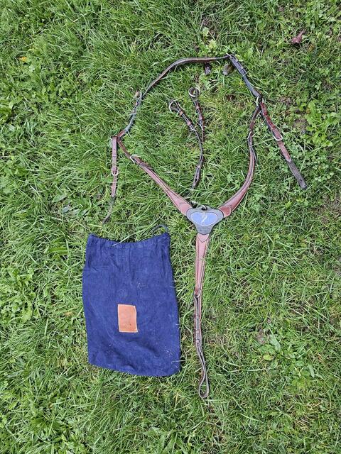 Collier de chasse Antarès