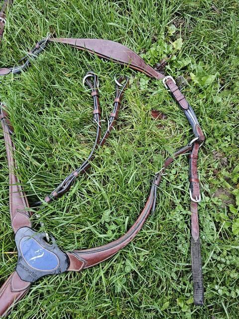 Collier de chasse Antarès
