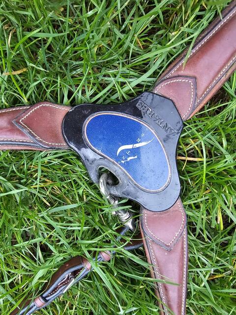 Collier de chasse Antarès