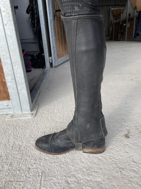 Chaps dyon