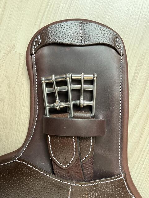Sangle Bavette courte Forestier