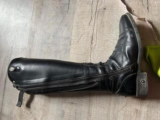 Botte Fellini T36