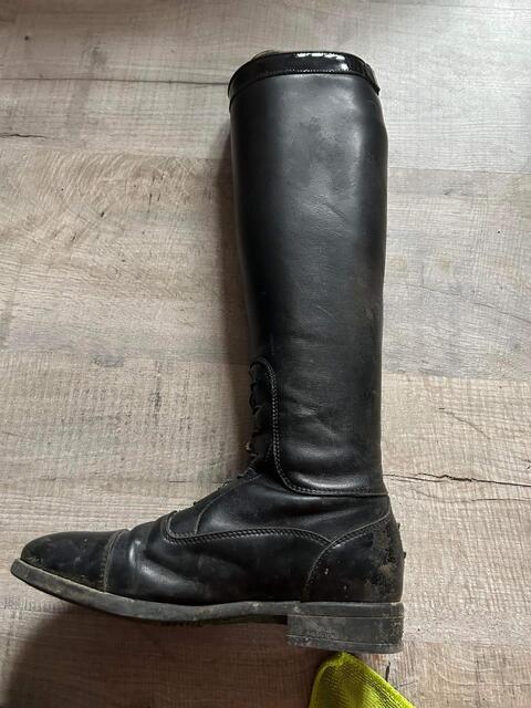 Botte Fellini T36