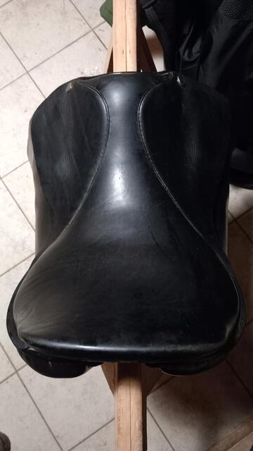 Selle de dressage portugaise