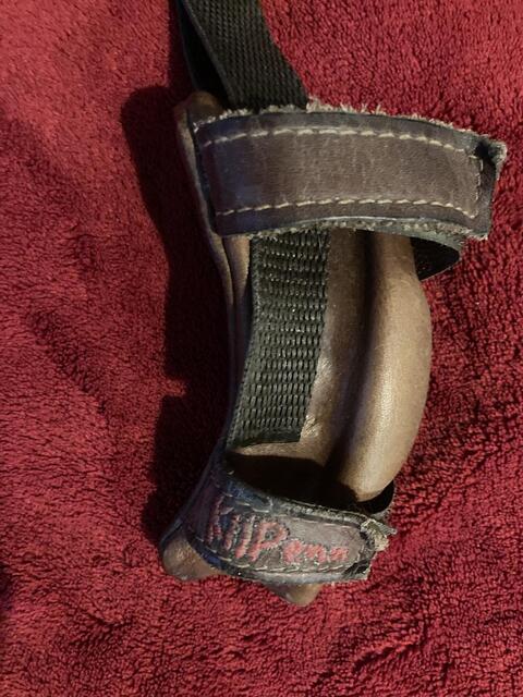 Kilpenn marron taille cheval