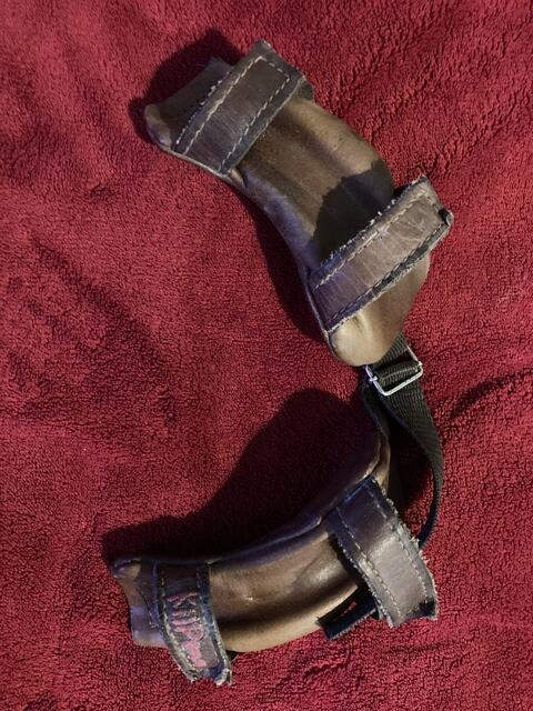 Kilpenn marron taille cheval