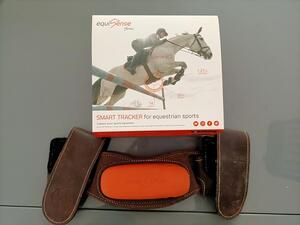 Equisence motion