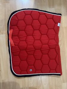 tapis Equi’dées