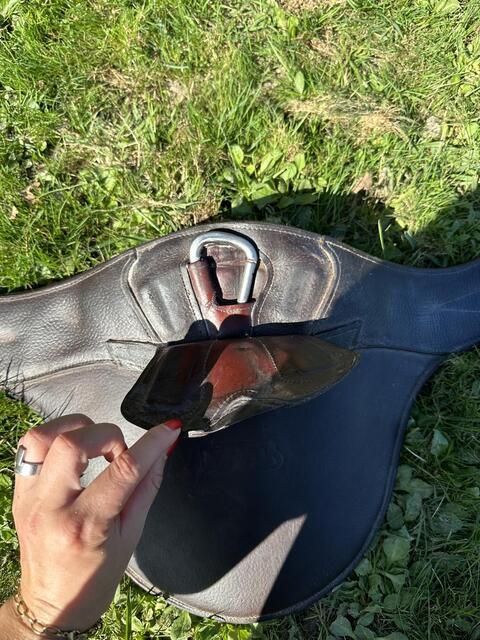 Sangle bavette CWD