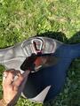 Sangle bavette CWD