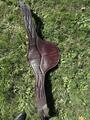 Sangle bavette CWD