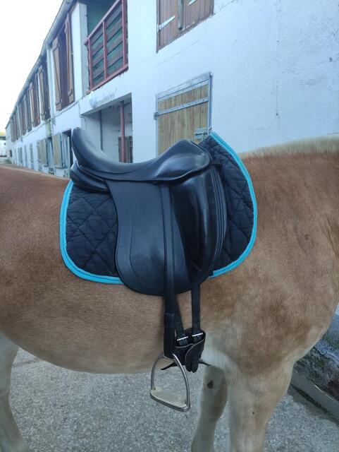 Selle dressage Childéric DGP 17,5