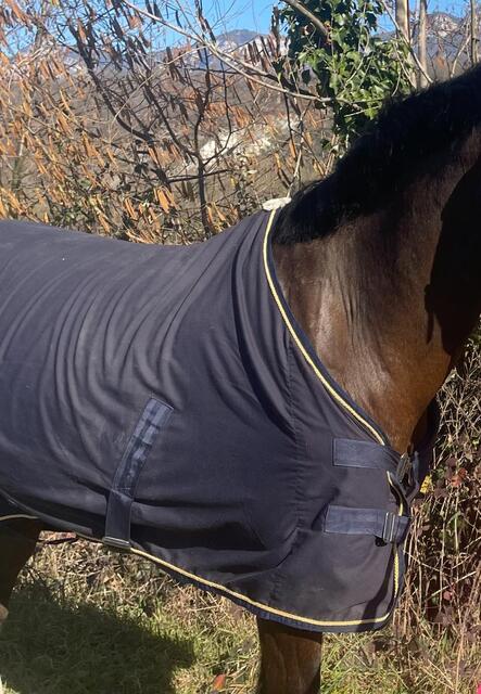 Couverture chemise